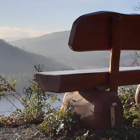 Ferienwohnung Reese- Horstmann Mit Hallenbad Und Sauna, Wlan "Harz Zu Jeder Jahreszeit" Bad Harzburg Exterior foto