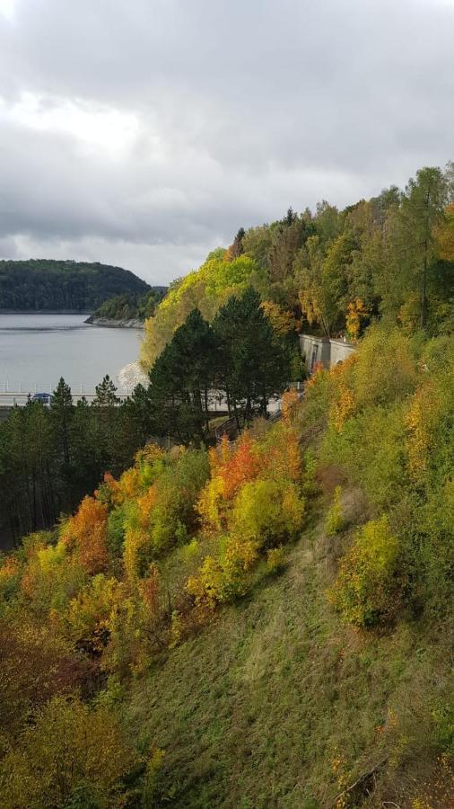 Ferienwohnung Reese- Horstmann Mit Hallenbad Und Sauna, Wlan "Harz Zu Jeder Jahreszeit" Bad Harzburg Exterior foto