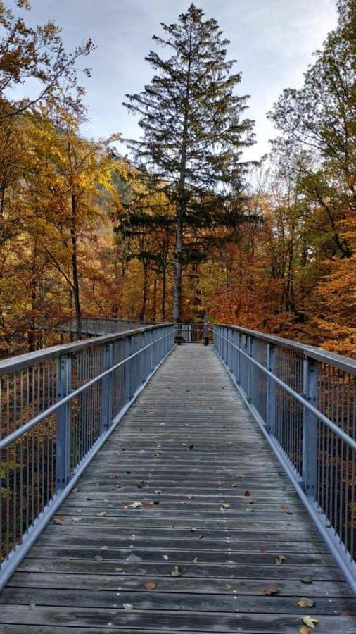 Ferienwohnung Reese- Horstmann Mit Hallenbad Und Sauna, Wlan "Harz Zu Jeder Jahreszeit" Bad Harzburg Exterior foto