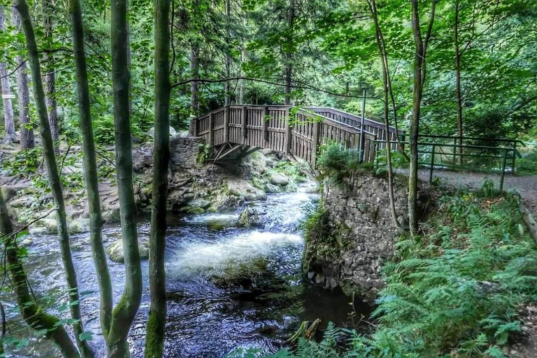 Ferienwohnung Reese- Horstmann Mit Hallenbad Und Sauna, Wlan "Harz Zu Jeder Jahreszeit" Bad Harzburg Exterior foto