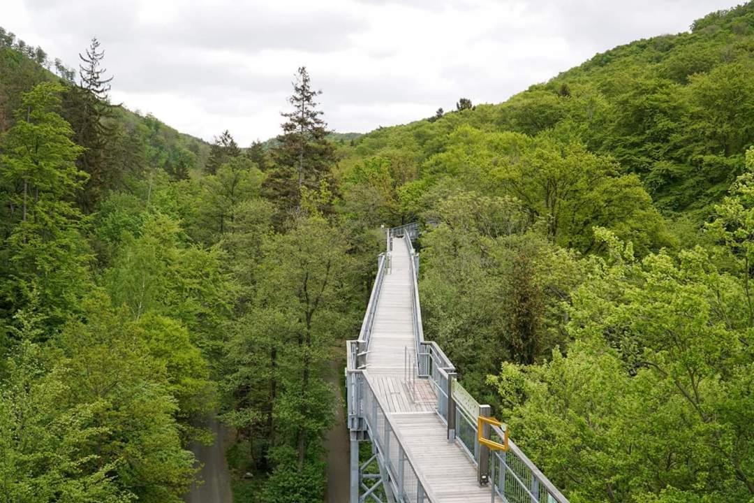 Ferienwohnung Reese- Horstmann Mit Hallenbad Und Sauna, Wlan "Harz Zu Jeder Jahreszeit" Bad Harzburg Exterior foto