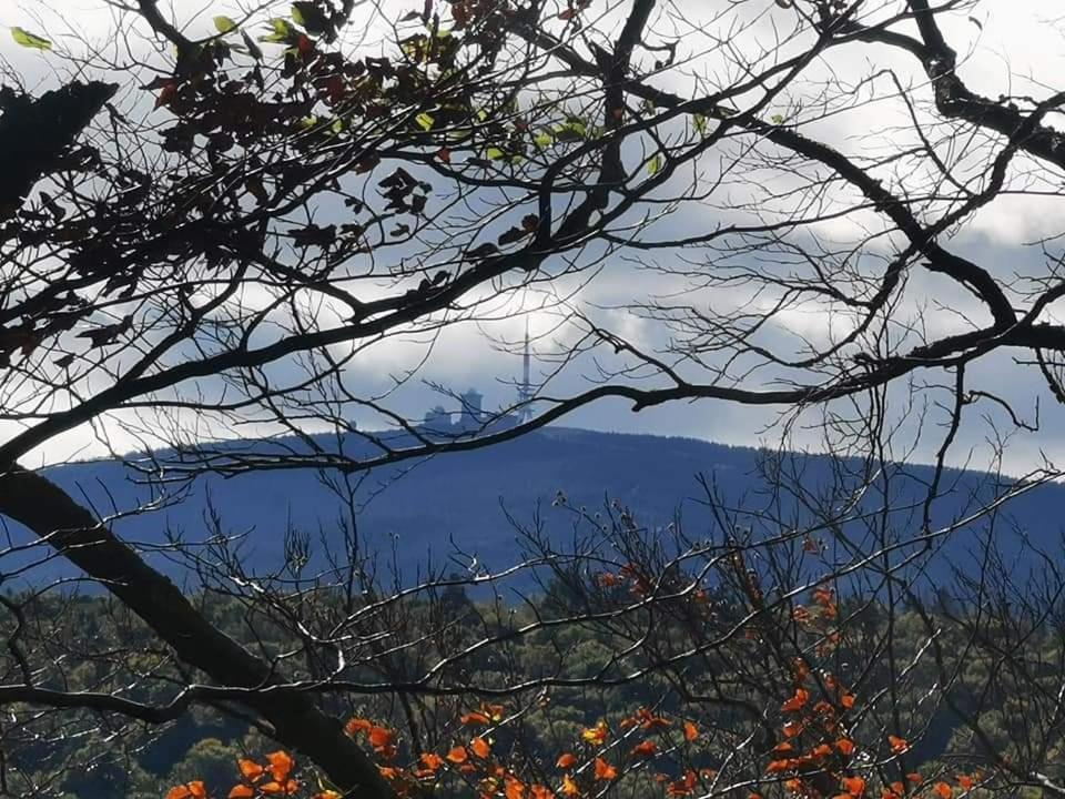 Ferienwohnung Reese- Horstmann Mit Hallenbad Und Sauna, Wlan "Harz Zu Jeder Jahreszeit" Bad Harzburg Exterior foto