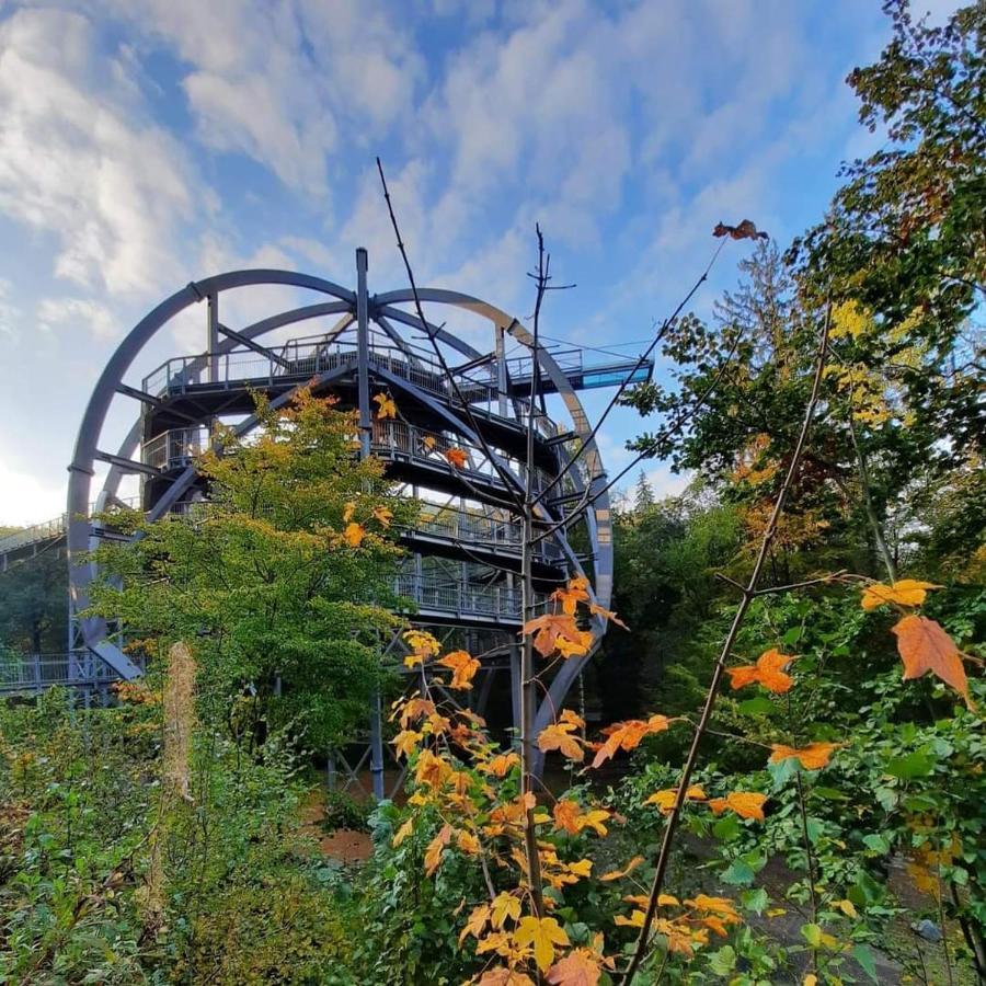 Ferienwohnung Reese- Horstmann Mit Hallenbad Und Sauna, Wlan "Harz Zu Jeder Jahreszeit" Bad Harzburg Exterior foto