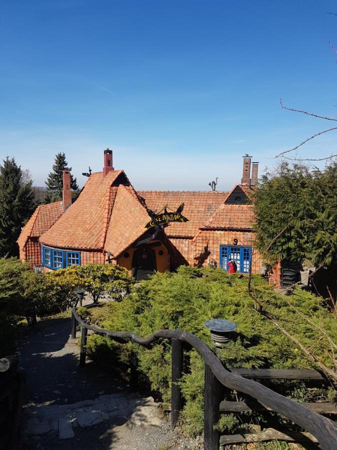 Ferienwohnung Reese- Horstmann Mit Hallenbad Und Sauna, Wlan "Harz Zu Jeder Jahreszeit" Bad Harzburg Exterior foto