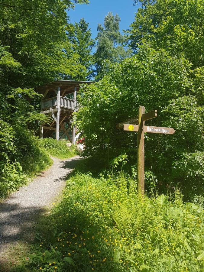 Ferienwohnung Reese- Horstmann Mit Hallenbad Und Sauna, Wlan "Harz Zu Jeder Jahreszeit" Bad Harzburg Exterior foto