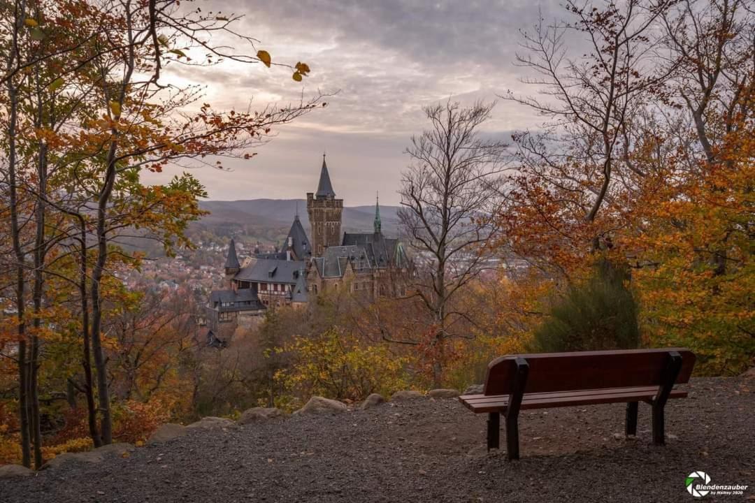 Ferienwohnung Reese- Horstmann Mit Hallenbad Und Sauna, Wlan "Harz Zu Jeder Jahreszeit" Bad Harzburg Exterior foto