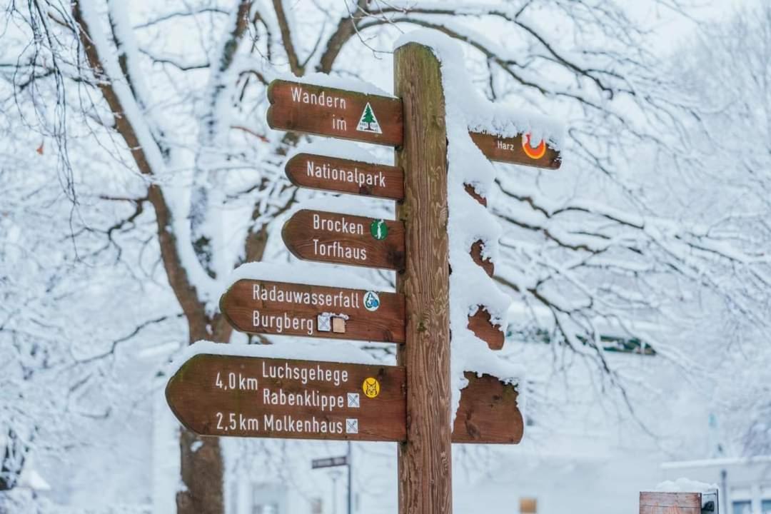 Ferienwohnung Reese- Horstmann Mit Hallenbad Und Sauna, Wlan "Harz Zu Jeder Jahreszeit" Bad Harzburg Exterior foto