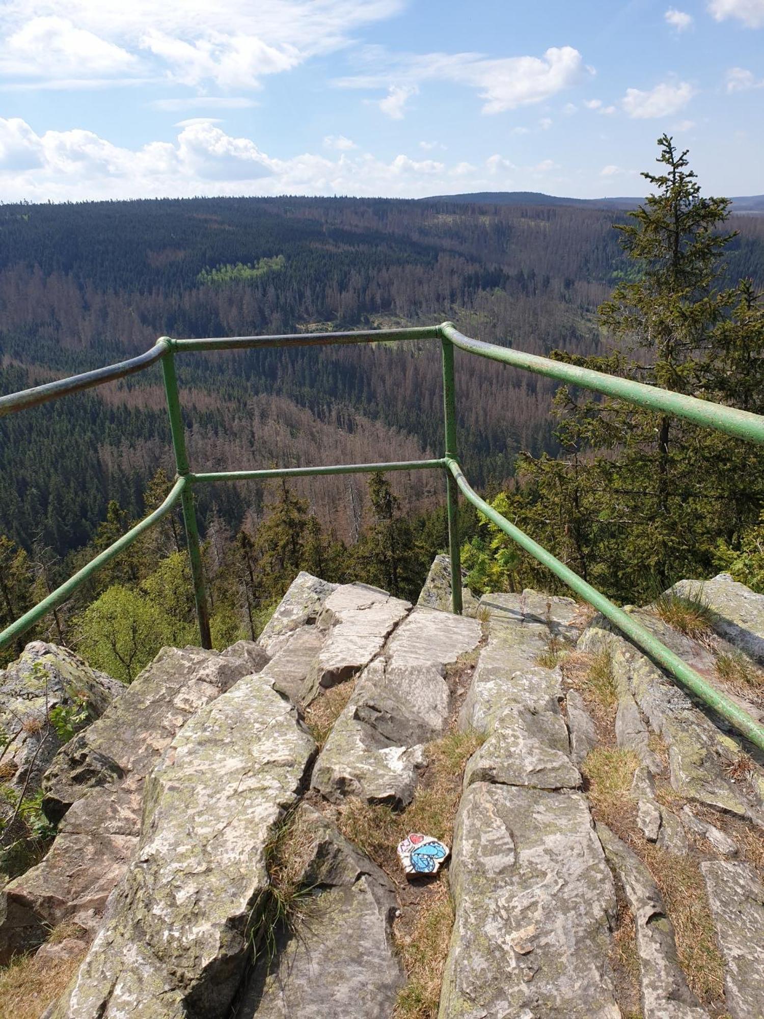 Ferienwohnung Reese- Horstmann Mit Hallenbad Und Sauna, Wlan "Harz Zu Jeder Jahreszeit" Bad Harzburg Quarto foto