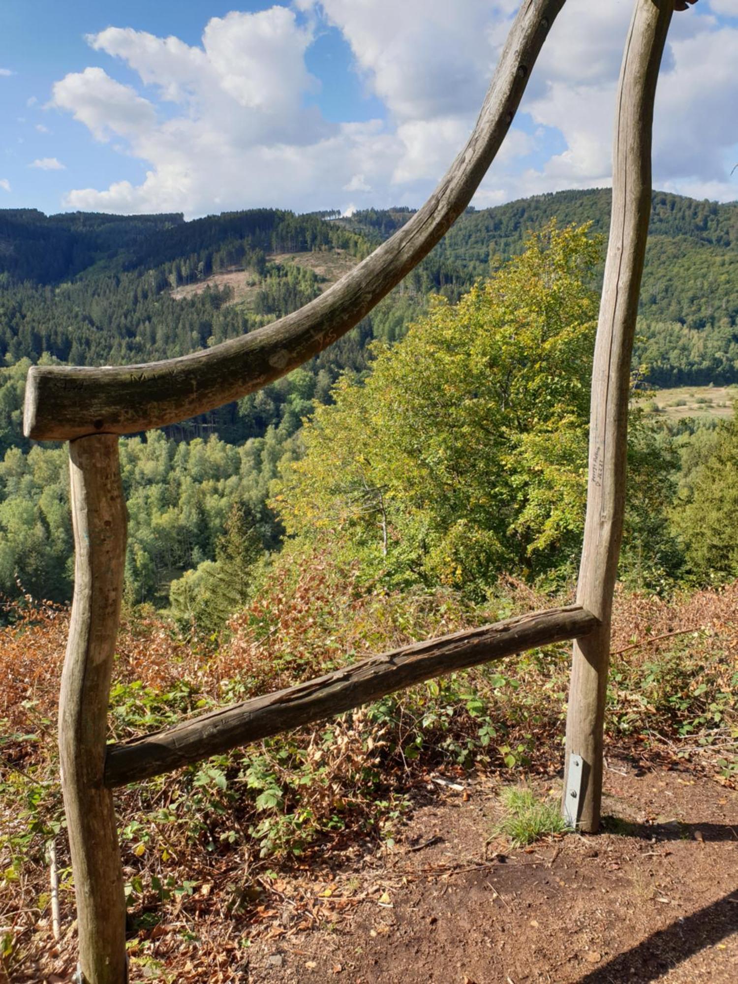 Ferienwohnung Reese- Horstmann Mit Hallenbad Und Sauna, Wlan "Harz Zu Jeder Jahreszeit" Bad Harzburg Quarto foto