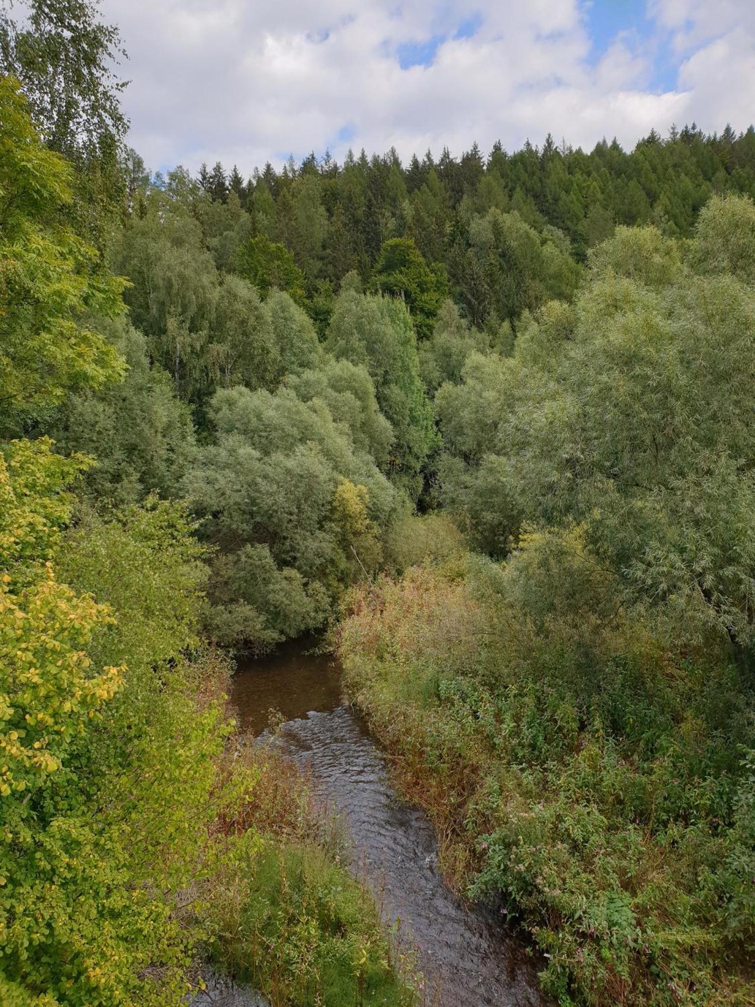 Ferienwohnung Reese- Horstmann Mit Hallenbad Und Sauna, Wlan "Harz Zu Jeder Jahreszeit" Bad Harzburg Quarto foto