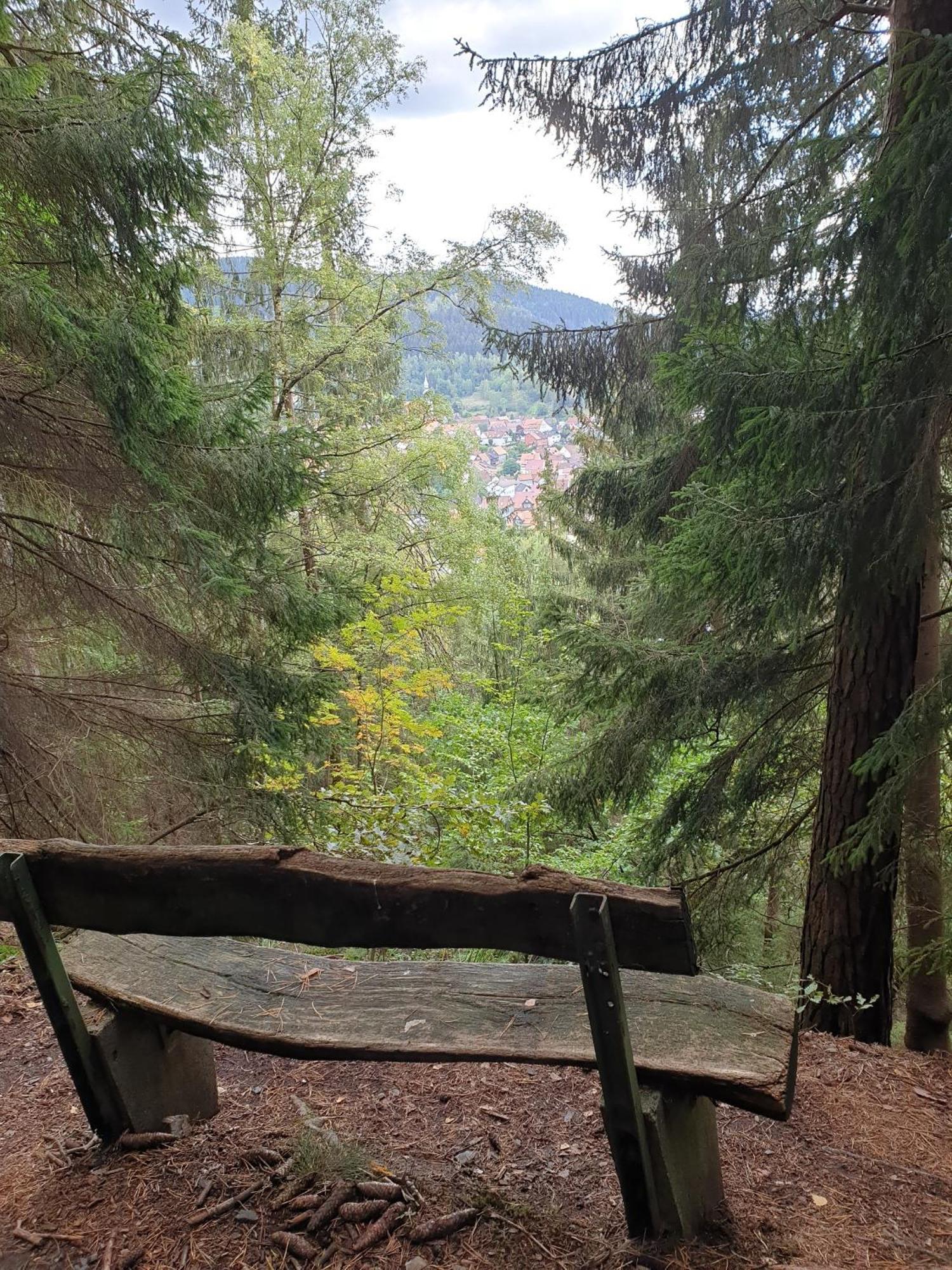 Ferienwohnung Reese- Horstmann Mit Hallenbad Und Sauna, Wlan "Harz Zu Jeder Jahreszeit" Bad Harzburg Quarto foto