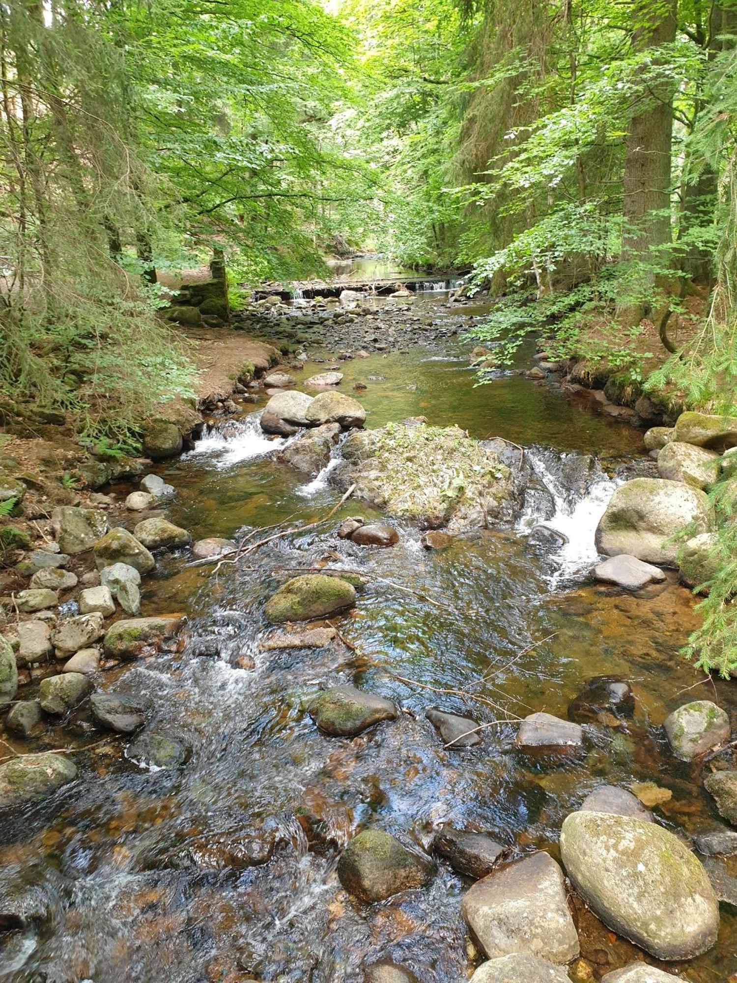 Ferienwohnung Reese- Horstmann Mit Hallenbad Und Sauna, Wlan "Harz Zu Jeder Jahreszeit" Bad Harzburg Quarto foto